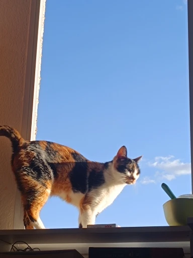 Fone De Ouvido Sem Fio Bluetooth M25 TWS Com Controle De Toque Redução De Ruído Estéreo Para Jogos Microfone - Neverdie Store photo review