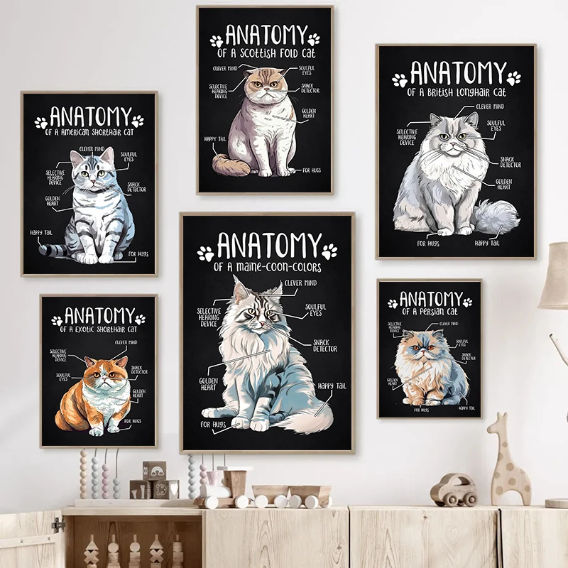Cute Persian Abyssian Ragdoll Cats Anatomy Poster Print Canvas