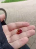 Изображение товара 1