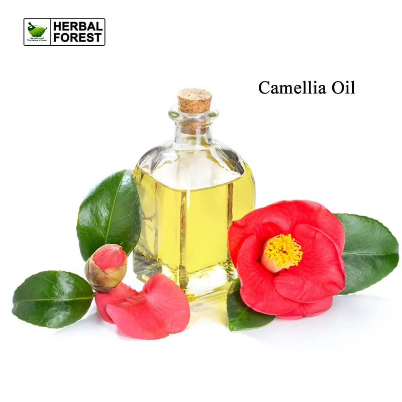 natural-camellia-oil-china-rich-in-vitamins-antioxidant-increases-skin