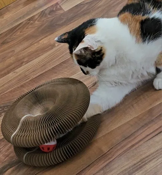 RonronAccordéon™ — Griffoir Modulable