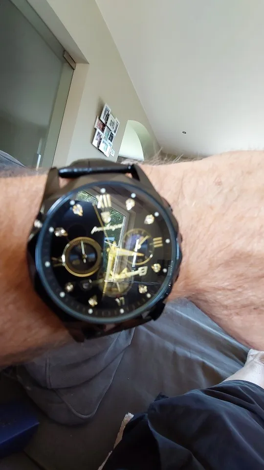 POEDAGAR Luxury Watch for Men photo review