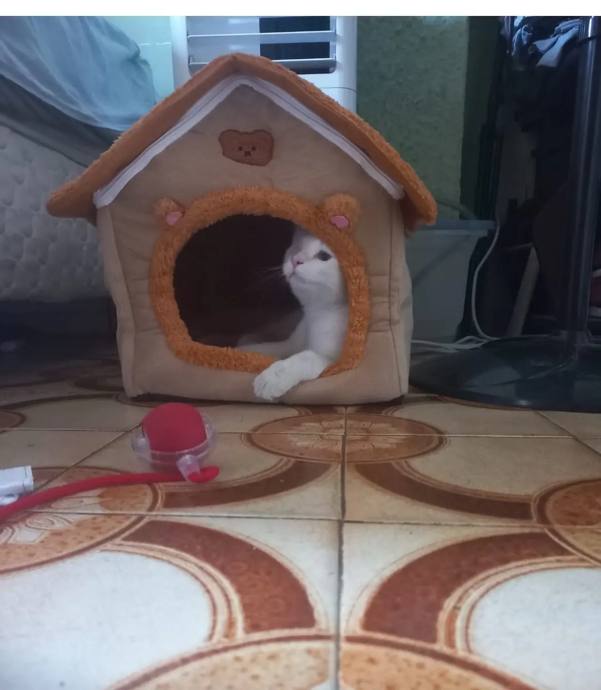 Cozy Foldable Pet House photo review