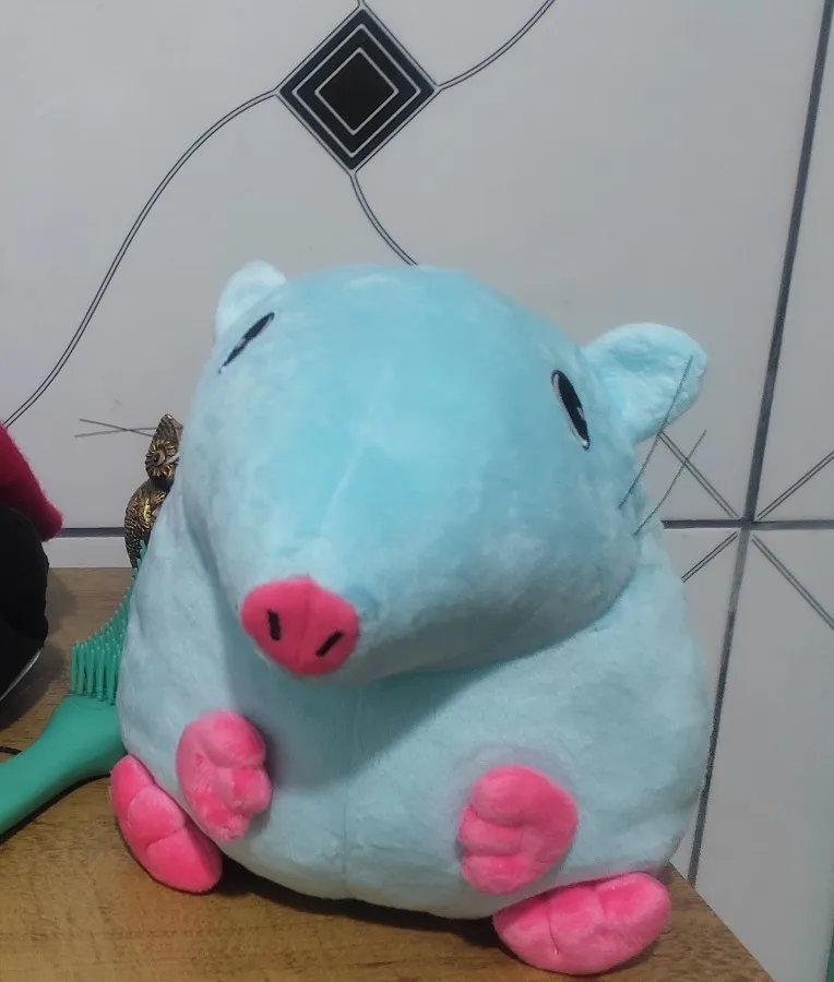 Stupid Rat Plushie photo review
