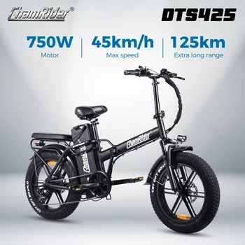 ChamRider DTS425 Ebike 48V25AH Batteria Portata 125KM Potenza 750W Scelta di valore migliore per ciclisti europei per la consegna di cibo Bici elettrica