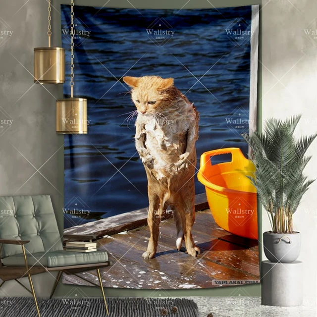 Funny Cat Meme Blur Tapestry for Sale by volkaneeka