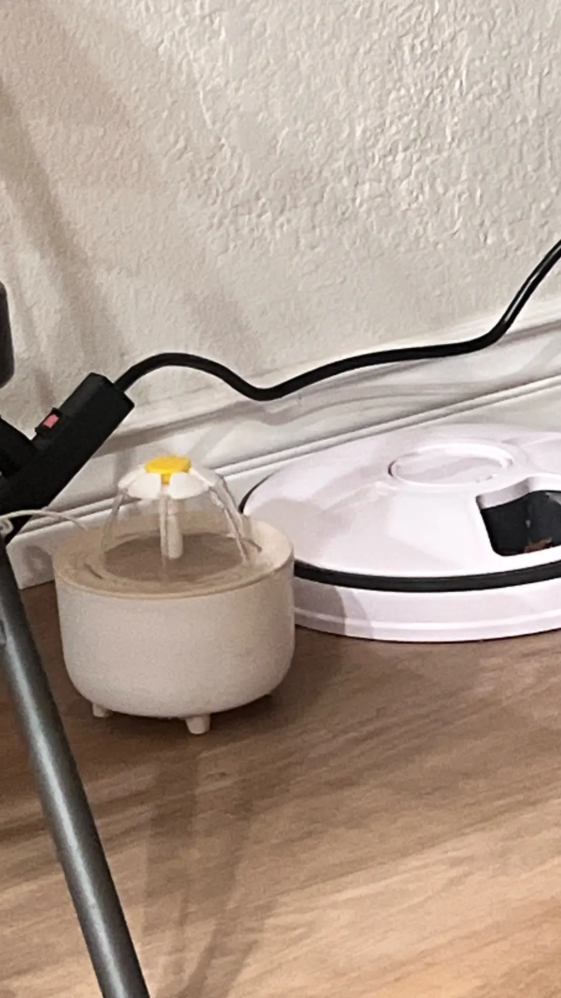 Cat Water Fountain Auto Filter Transparent Cat Drinker USB Electric Mute Recirculate Filtering Drinker for Cats Water Dispenser photo review