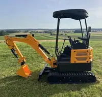 Best Selling 2Ton Mini Excavator EPA/Euro  Crawler Excavators Hydraulic Kubota Agricultural Digger Customized For Sale