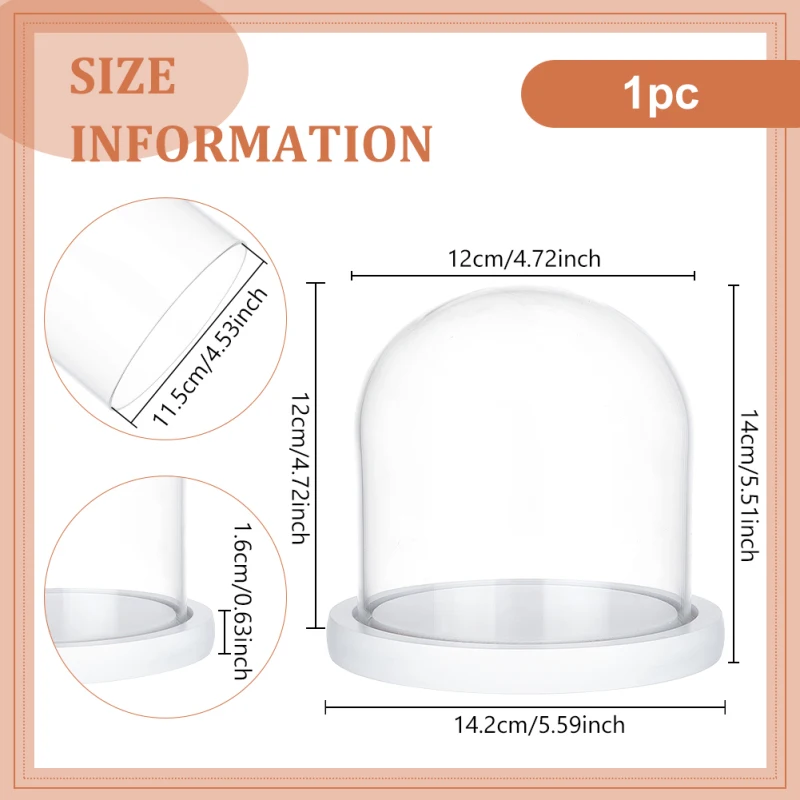 PATIKIL 10 Pezzi Cloche Di Vetro Con Base In Sughero - Mini Cupole Espositori Per Piante Grasse, Fiori Secchi E Decorazioni Fai-da-te, 50x30 Mm