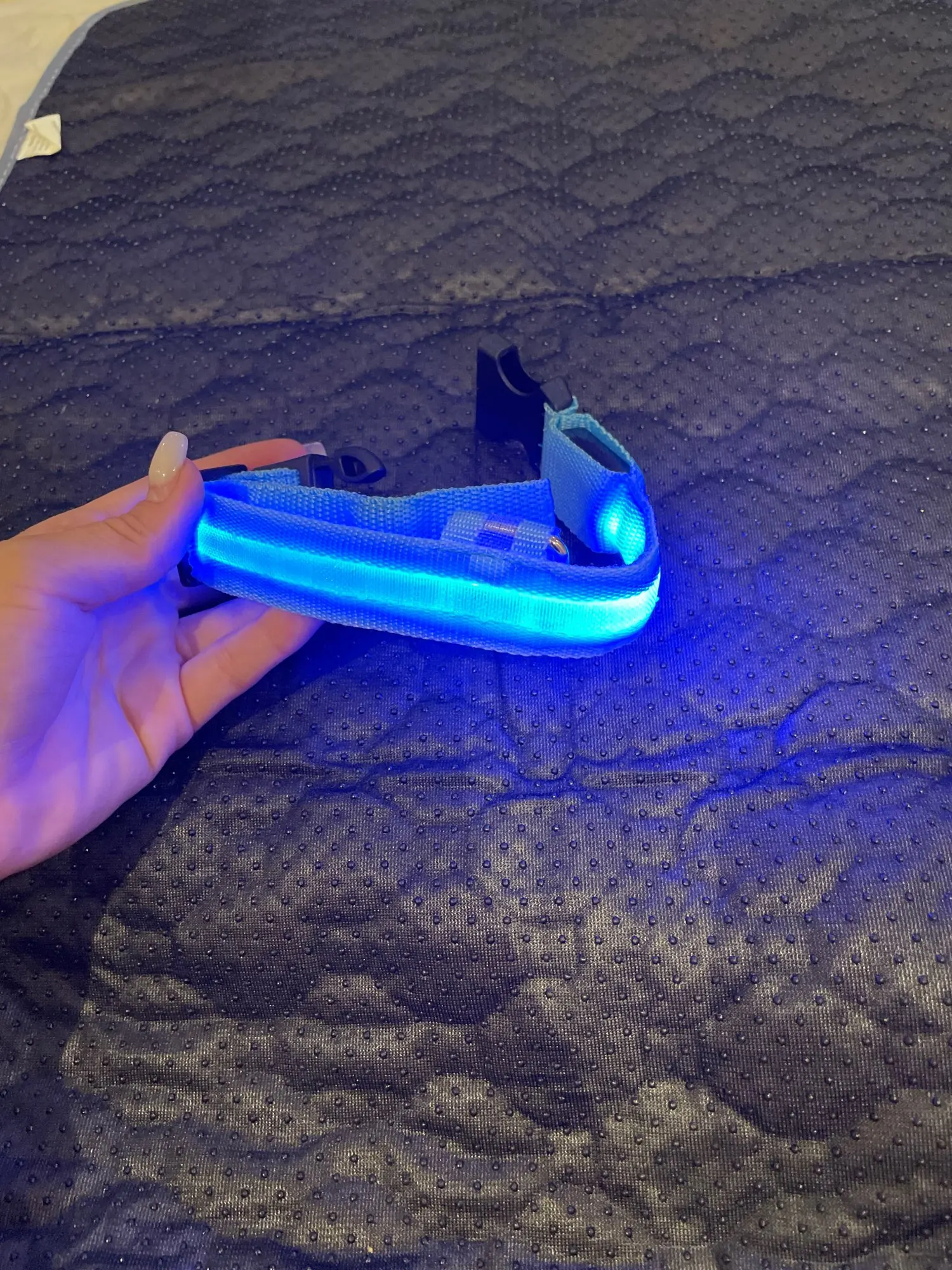 GlowSafe – Leuchtendes Halsband & Leine für maximale Sichtbarkeit bei Nacht photo review