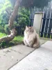 Изображение товара 3