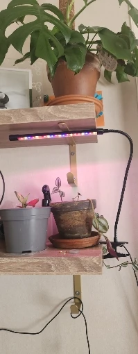 3-Color LED USB Grow Light