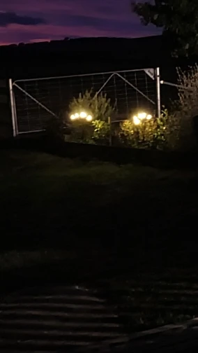 (LAST DAY SALE) Solar Powered Firefly Lights