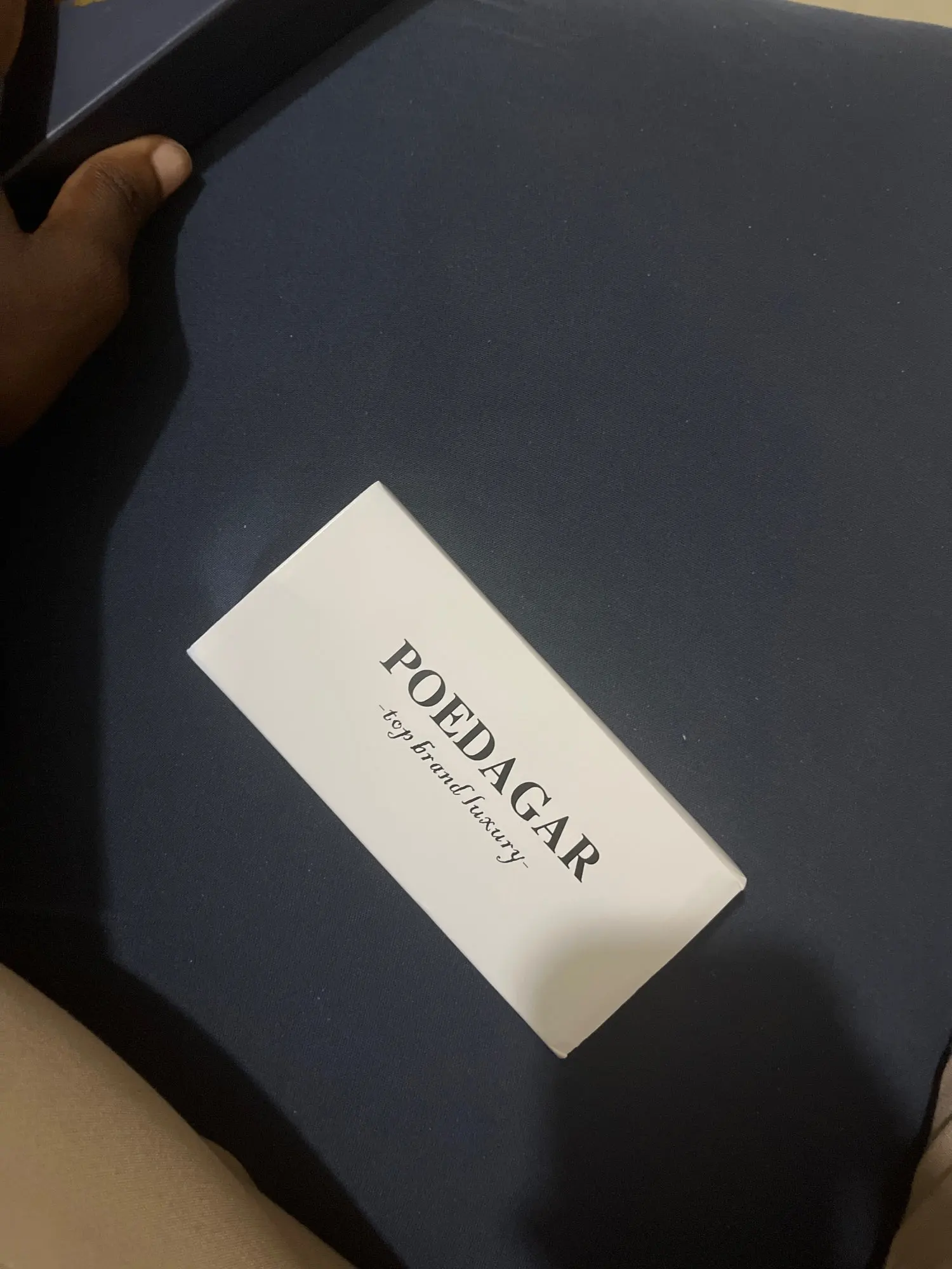 POEDAGAR Luxury Man Wristwatch photo review