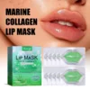 Hoygi Moisturizing Lip Mask Aloe Vera Moisturizing and Anti Drying Crack Autumn and Winter Moisturizing Care Whitening 10 Pieces 2