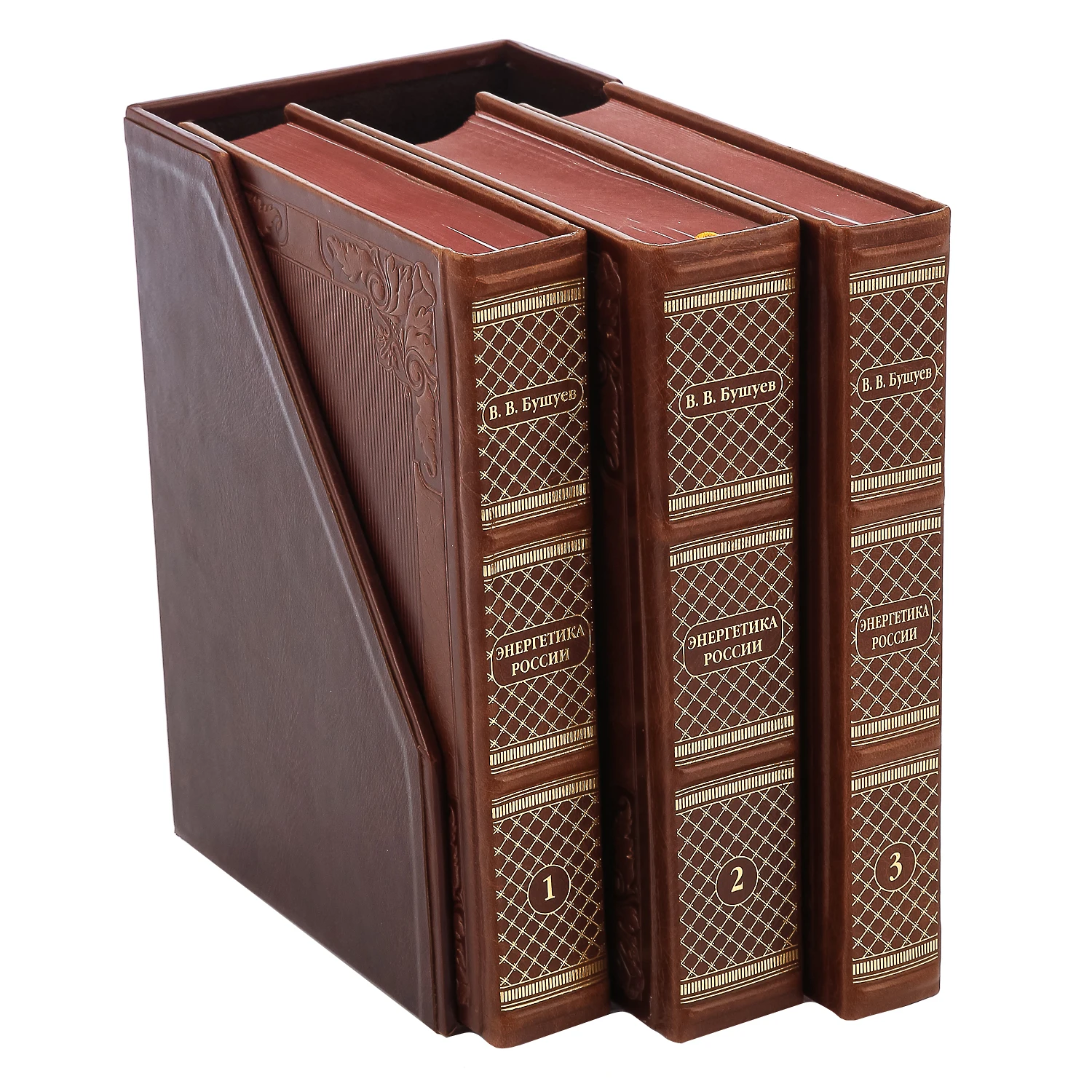 Рисунок 2 - Книга подарочная о добыче "Энергетика