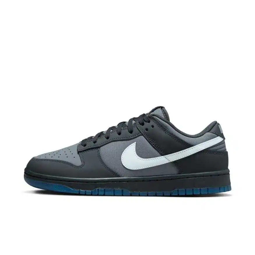 Мужские баскетбольные кроссовки Nike Dunk Low