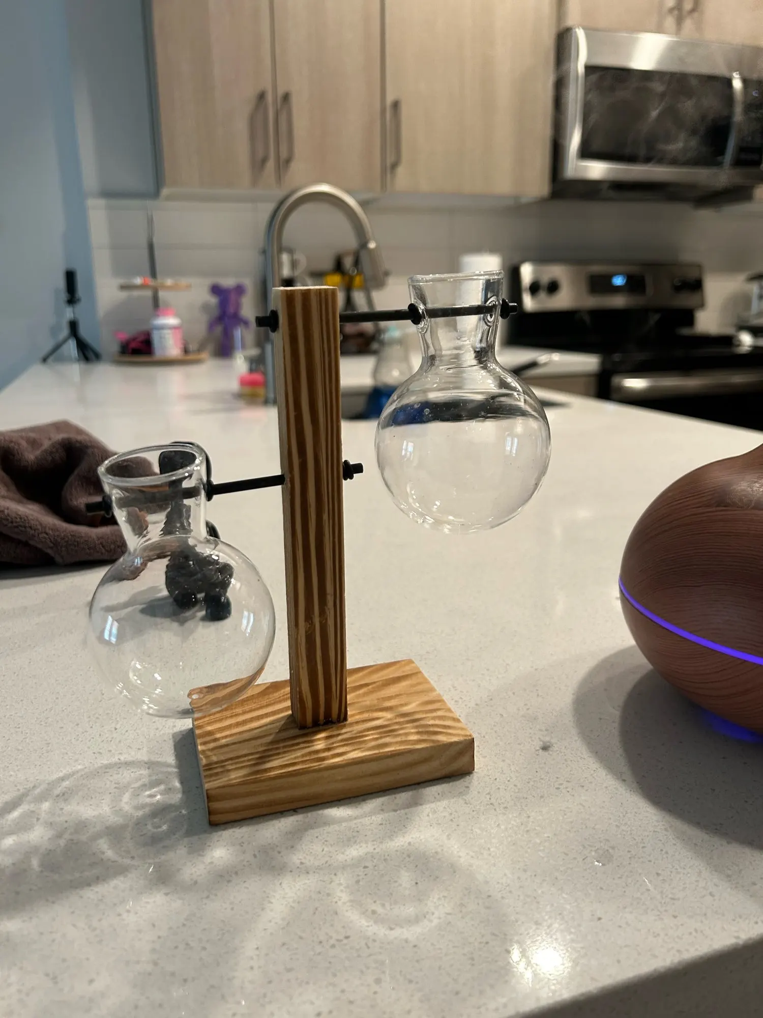 Hydroponic Plant Terrarium Vase photo review