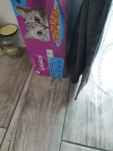 Whiskas Cat Food Fish Delicacies in Jelly 85 g x 40 Pieces photo review