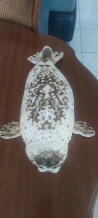 Foquinha Serena Fofeza® de Pelúcia