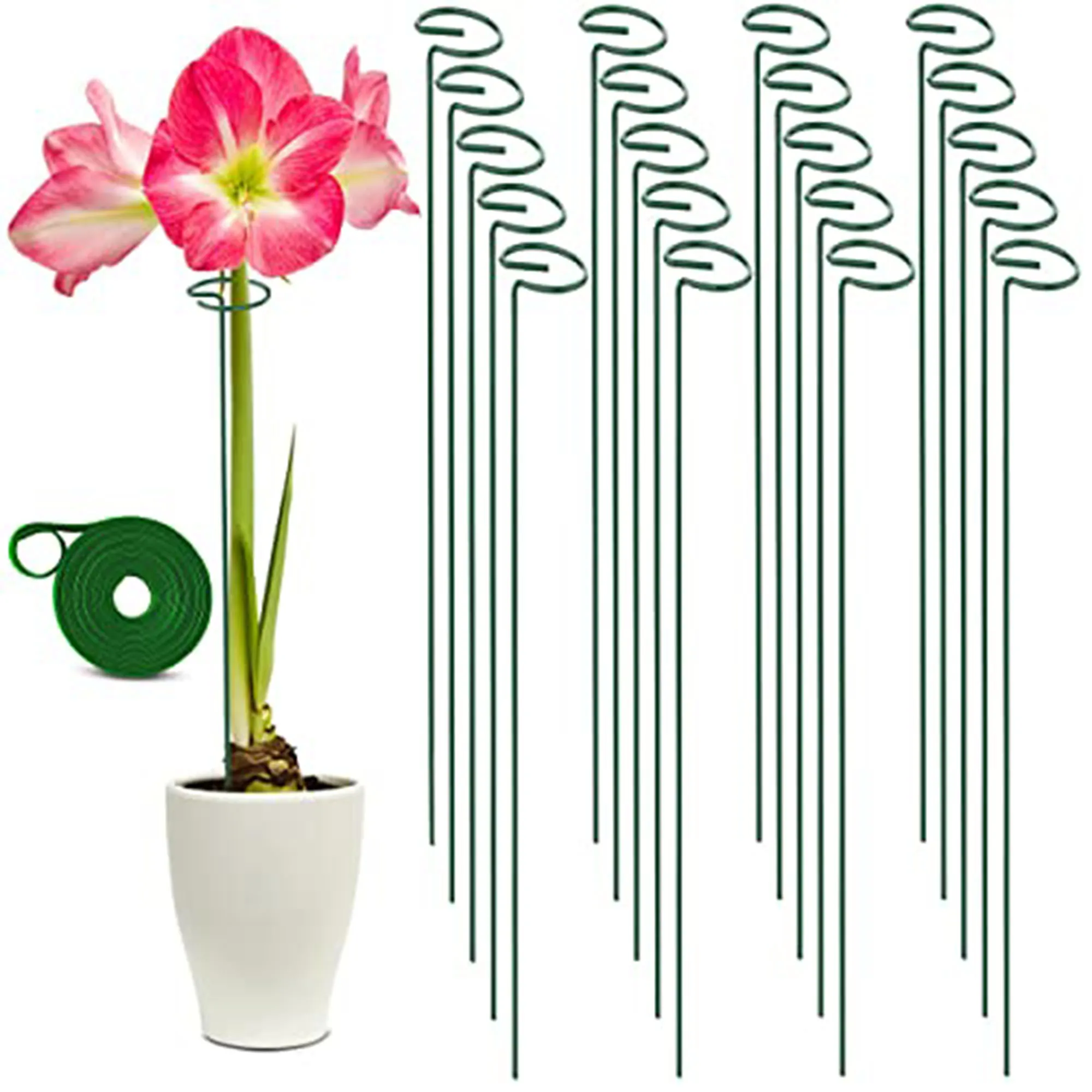 Fil de fer souple très résistant 2,5 mm pour support de plantes de jardin,  10 m : : Jardin