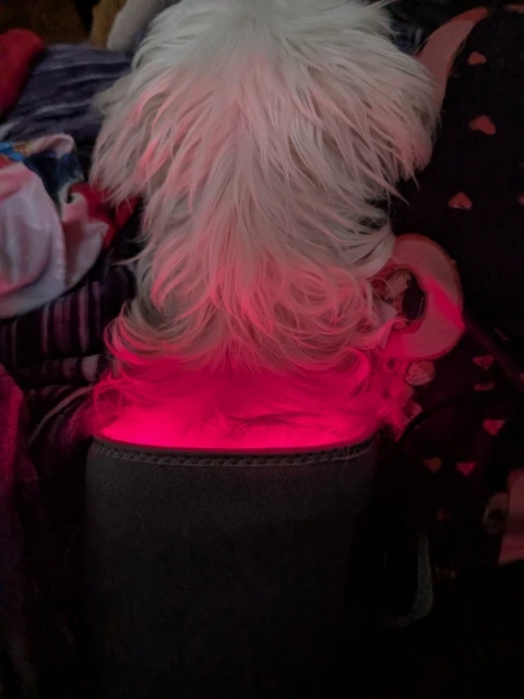 Rechargeable Pet Red Light Therapy Device - For Arthritis & Pain Relief in Dogs & Cats