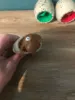 Изображение товара 3