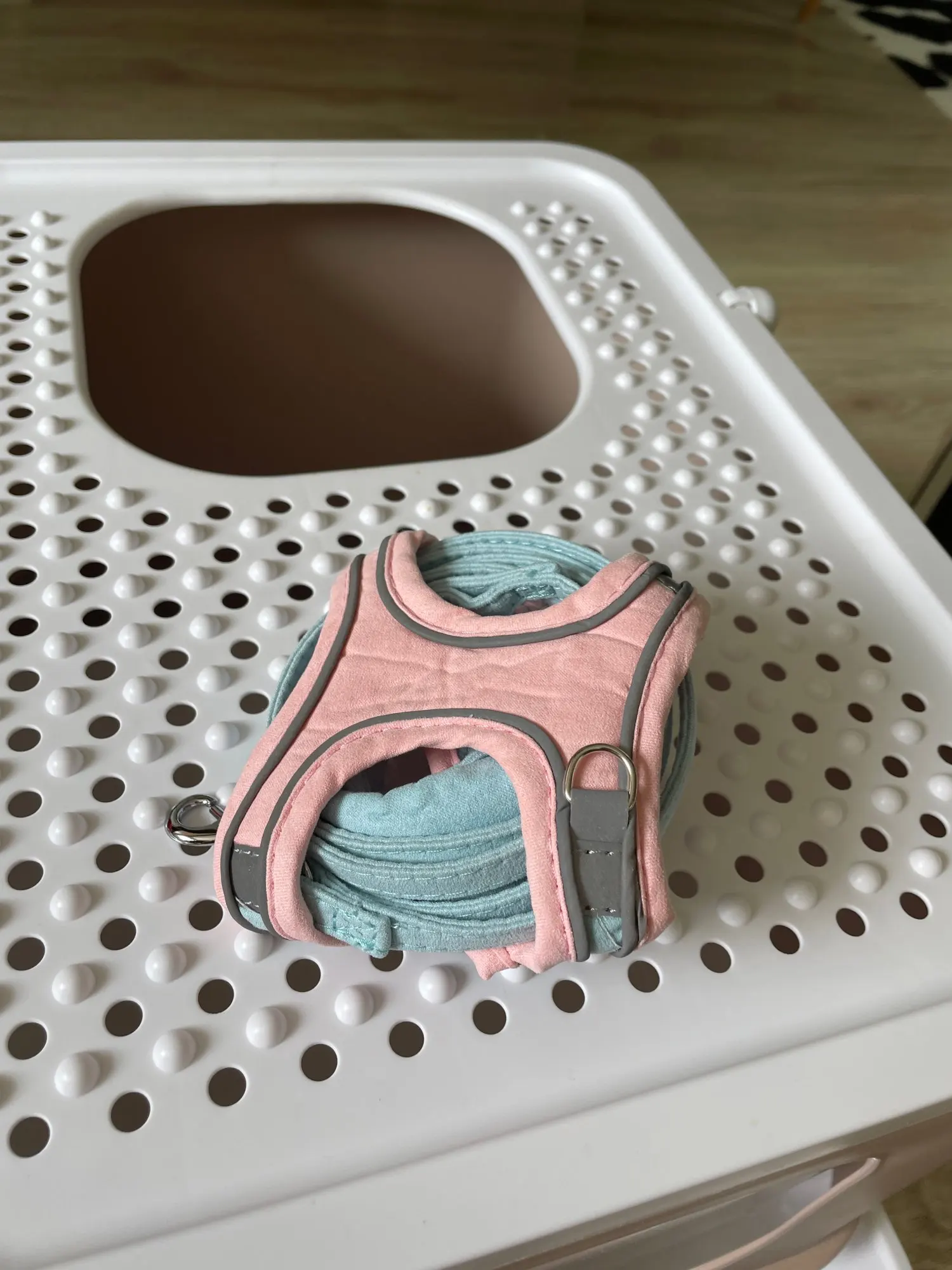 NunaPets Luminous Cat Vest Harness and Leash Set Ceelic