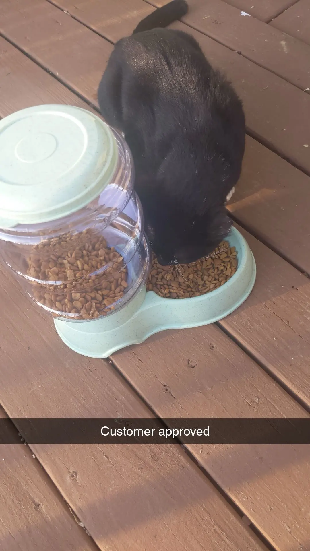 PawFeed Pro: Automatic Feeder & Water Dispenser Combo photo review