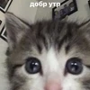 Изображение товара 3