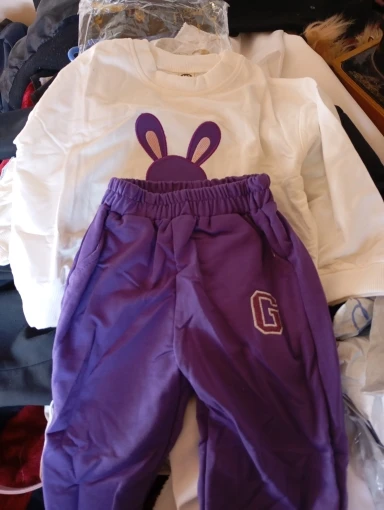 Fashion Toddler Baby Girl Fall Clothes Sets Kids Sports Cartoon Rabbit Sweatshirt Pants 2Pcs Suits Teenage Tracksuit Outfits photo review