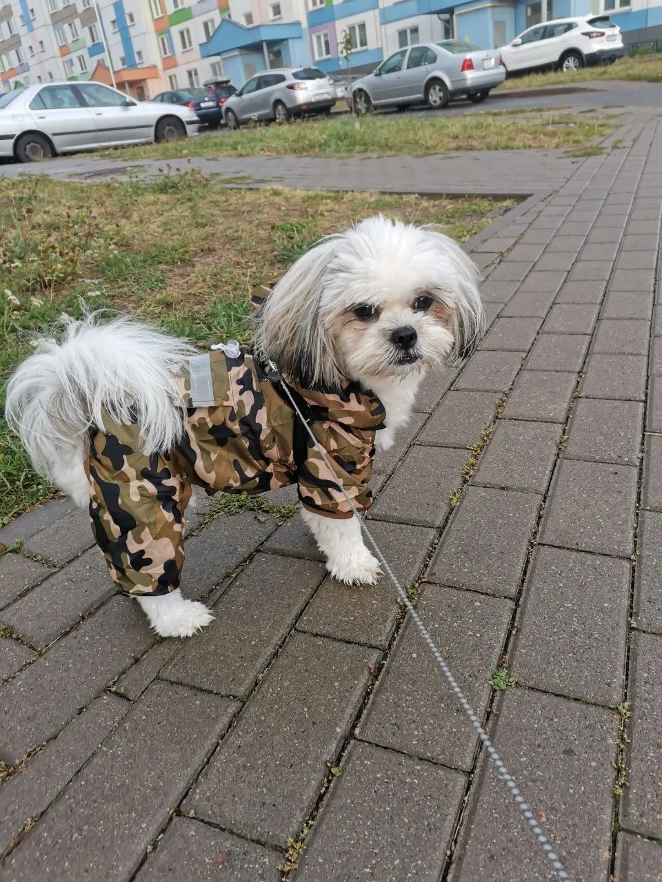 Simple Raincoat For Small And Medium-sized Dogs photo review