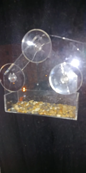 The Transparent Window Bird House