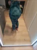 Изображение товара 5
