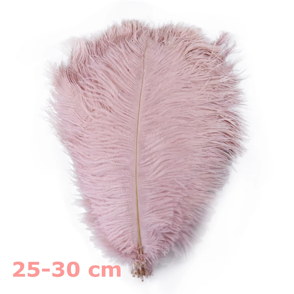 10 Piume Di Struzzo Naturali 25-30 Cm – LICHENGTAI, Assortite, Per Decorazioni Fai Da Te, Matrimoni, Maschere E Artigianato - 2