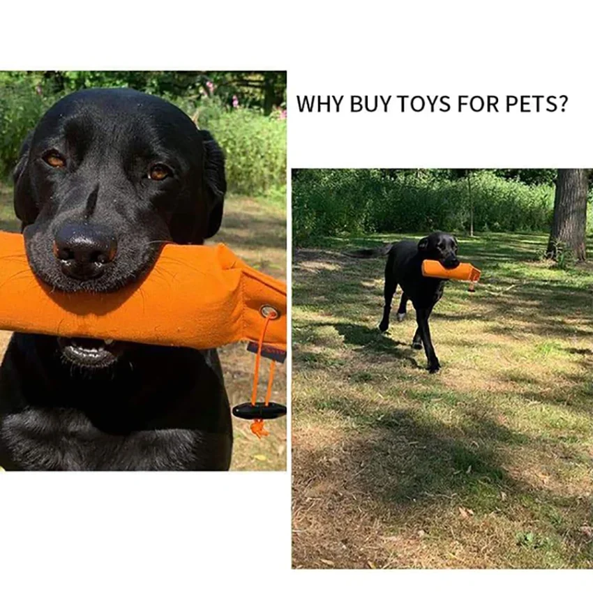 Dog Training Dummy Pet Chewing Sandbag Dog Bite Tug Toy Waterproof