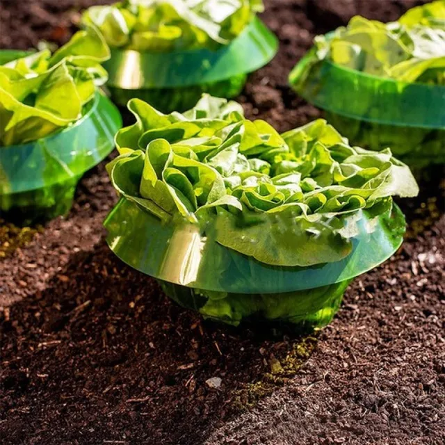 1/3/6/10 db Zöldségültetési Védő Burkolat A Meztelen Nyertes Védelemhez. Zöldségek Borítói - Image 3