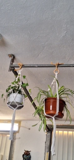Suspension Plante en Corde photo review