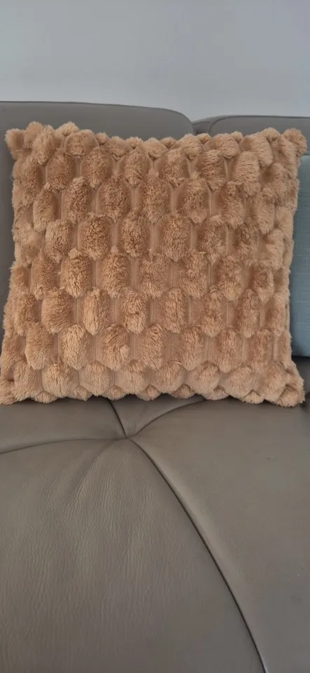 1pcs Pineapple Grid Turtle Pattern 3D Soft Plush Throw Pillowcase,Cream White For Living Room Sofa Bedroom Home Room Decor photo review