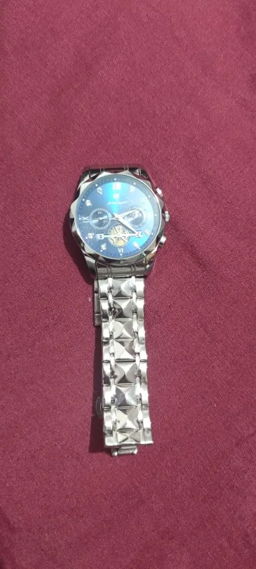 POEDAGAR Luxury Men's Quartz Watch photo review