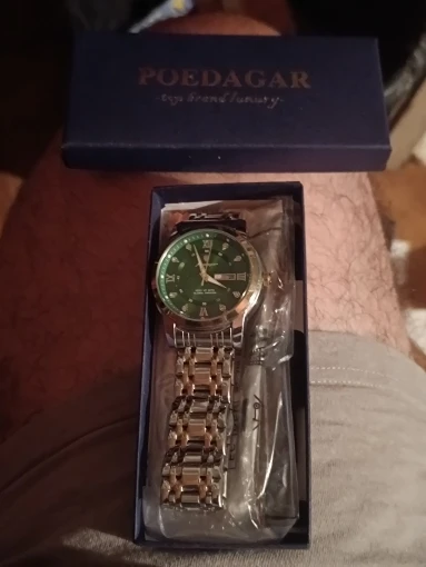 POEDAGAR Luxury Watch for Men photo review