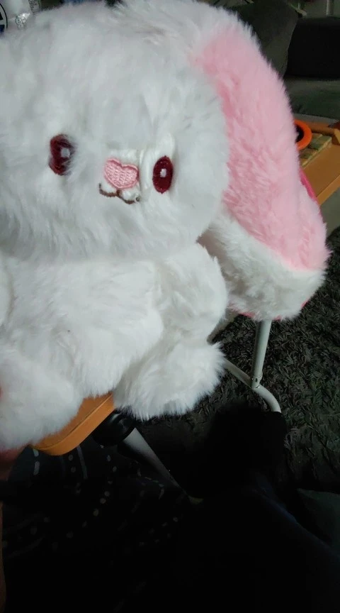 Berry Buns, Transforming Strawberry & Carrot Bunny Plush