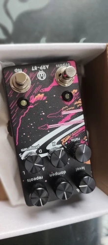 Xiao 1:1 Pedals Walrus Audio Fathom Multi Reverb and Arp-87 Delay