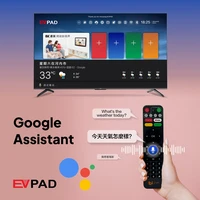 ТВ-приставка EVPAD EVPAD 11P 4 ГБ 64 ГБ, стабильная и гладкая ТВ-бокс, ГОРЯЧАЯ ПРОДАЖА EVPAD 11S 2 ГБ32 ГБ — изображение 4