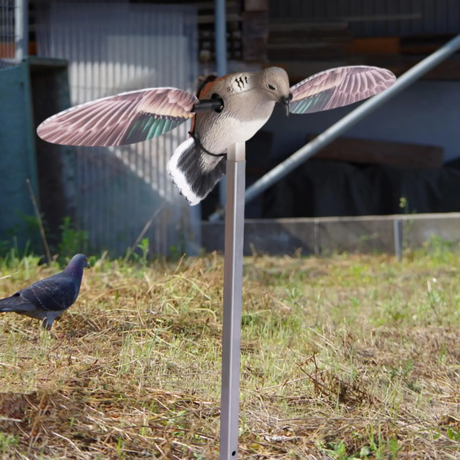  slider image of Outdoor Decoy Wing for