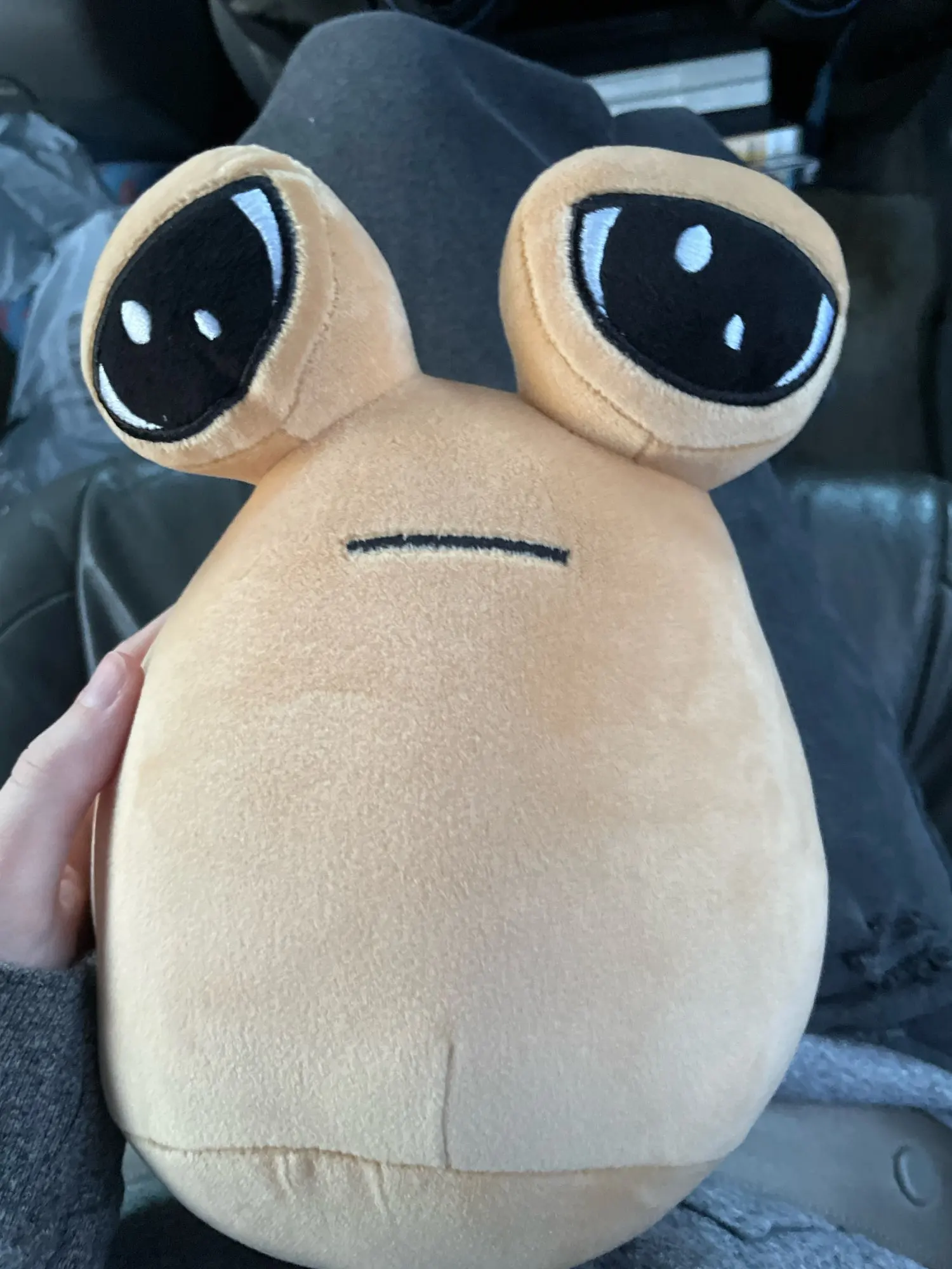 User picture