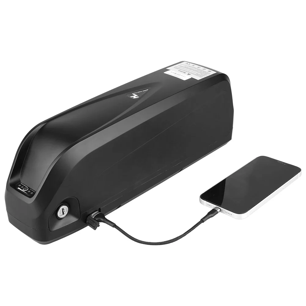 Ebike Battery 48v 20ah 13s 18650 Lithium Ebike Batterie Hailong Max