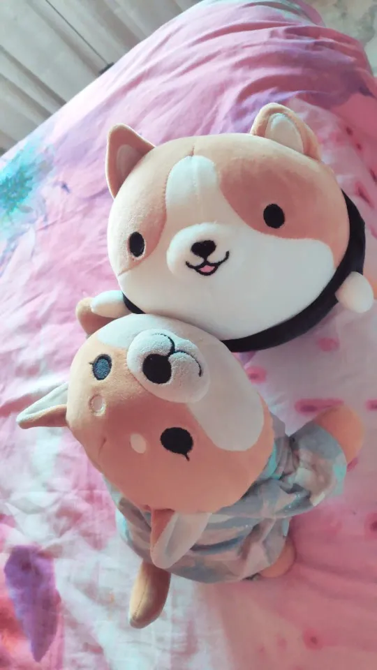 Kawaii Corgi Plushie photo review