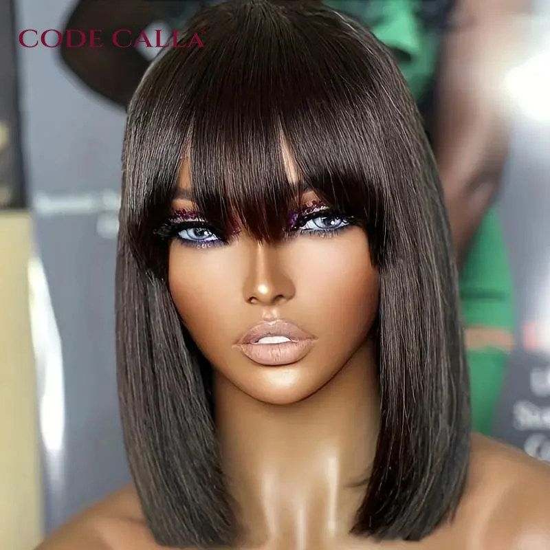 

Glueless Lace Front Human Hair Wig for Women Pre Plucked 4x4 Lace Closure Wig 180% Remy Brazilian Layered Cut Straight Wig