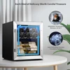 Yeego 12 Bottle Wine Refrigerator - Freestanding Mini Cooler with UV-Resistant Glass and Temperature Control for Home Storage 5